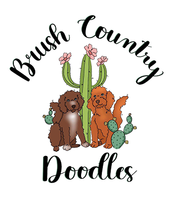 Brush Country Doodles Brush Country Doodles